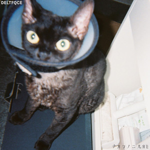 同性恋男人鸡巴操男孩屁股视频
