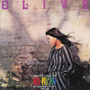 同性恋男人鸡巴操男孩屁股视频
