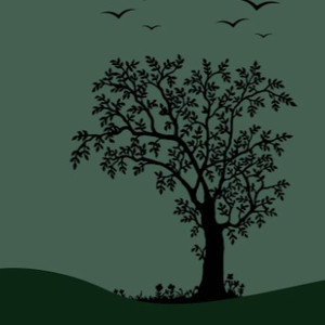 同性恋男人鸡巴操男孩屁股视频
