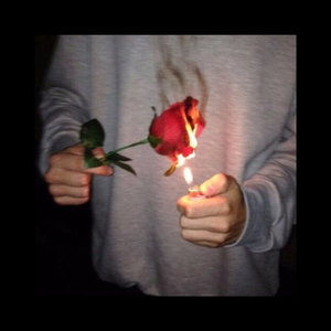 同性恋男人鸡巴操男孩屁股视频
