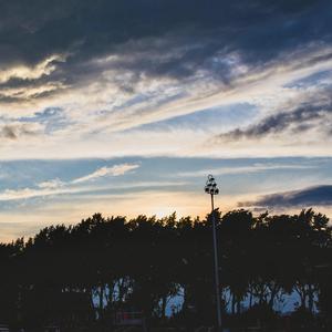 同性恋男人鸡巴操男孩屁股视频
