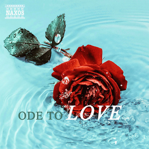 同性恋男人鸡巴操男孩屁股视频
